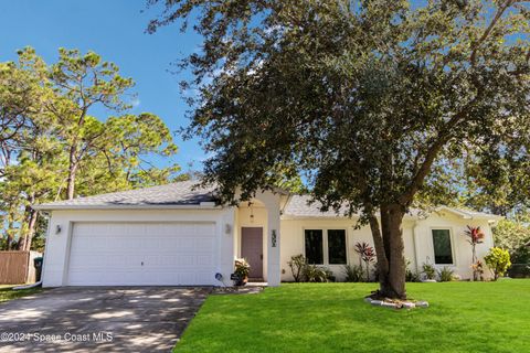 A home in Palm Bay