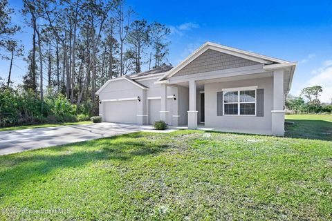 A home in Palm Bay