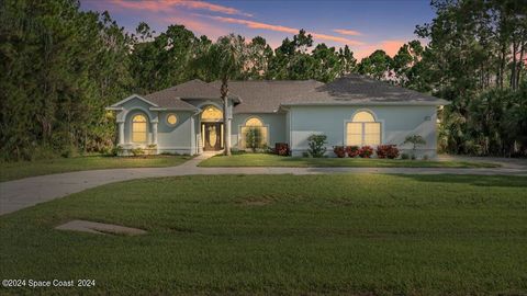 3064 Green Turtle Circle Mims FL 32754