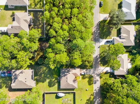 541 Darien Avenue SW Palm Bay FL 32908