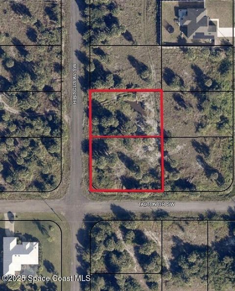 2195/2189 Hibiscus (2 Lots) Avenue SW Palm Bay FL 32908