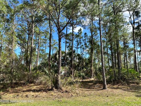 602 Flynn Street SE Melbourne FL 32909