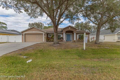 A home in Palm Bay