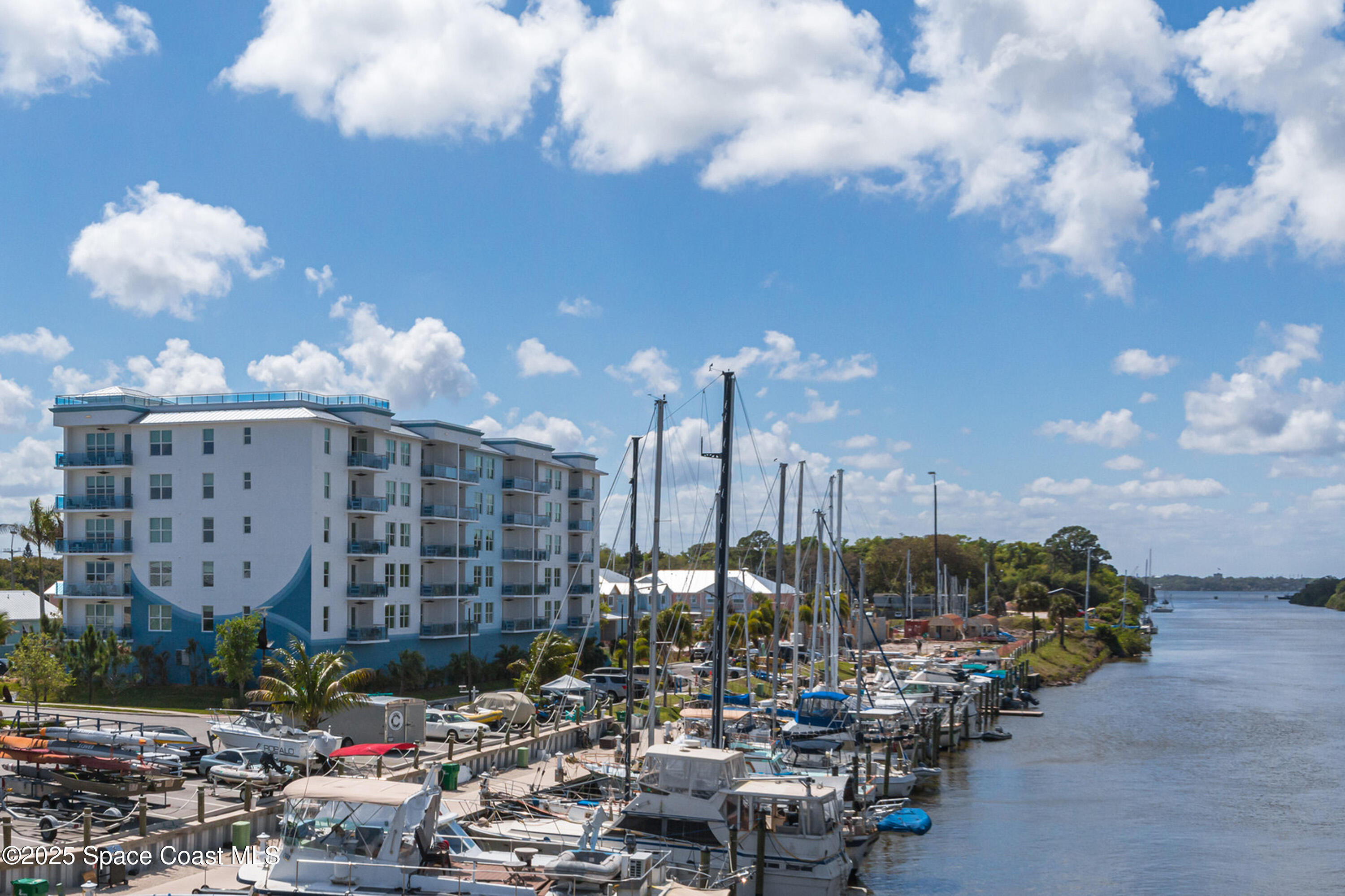 202 Ivory Coral Lane 504