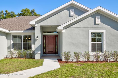 A home in Palm Bay