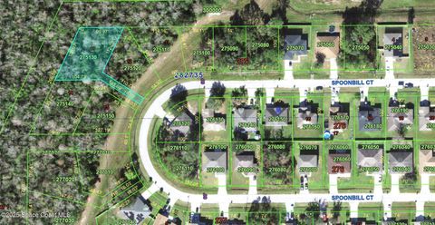 Property photo of 0-0000 spoonbill court, poinciana, FL 34759