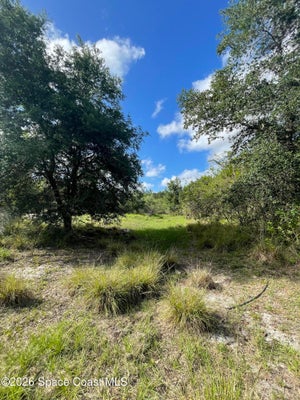 WILLOWBROOK ST, PALM BAY, FL 32909 - Image bdb2fe91aed3158c1e69a1bd868a438c/1133468768