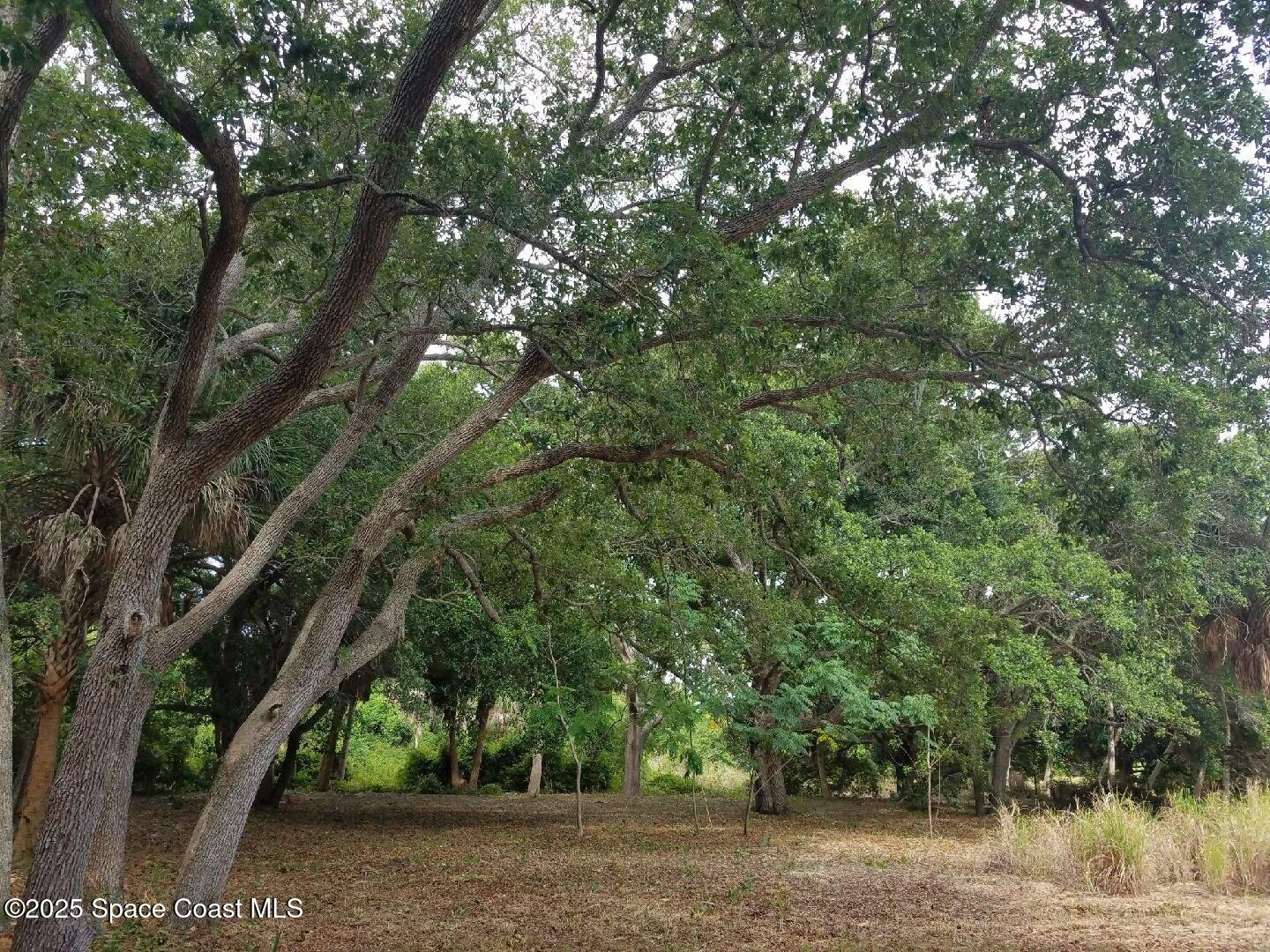3730 S Tropical Trail
