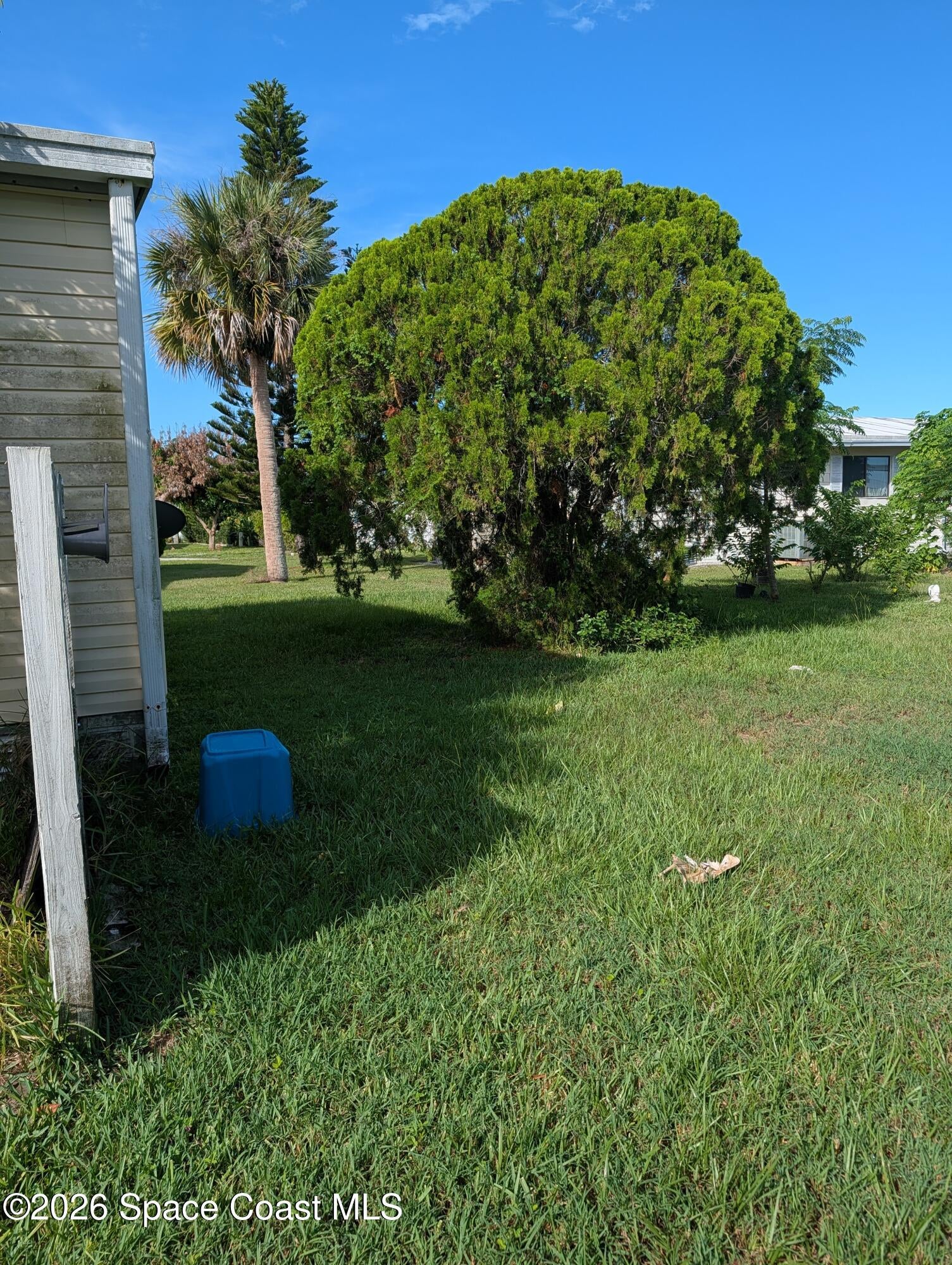 1009 Buttonwood Street