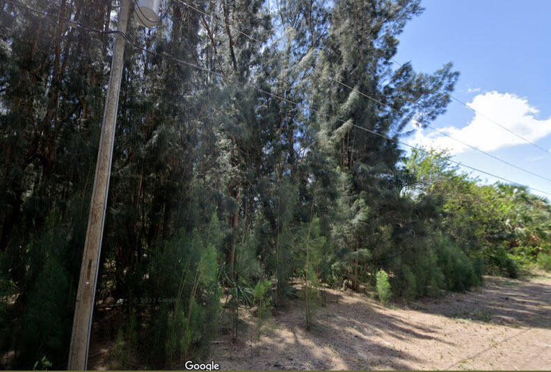 770 Sandpiper Street