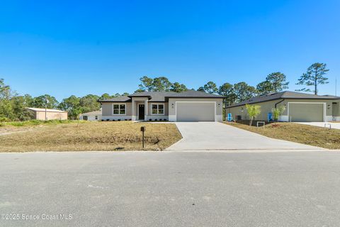 A home in Palm Bay