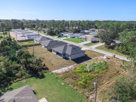 A home in Palm Bay