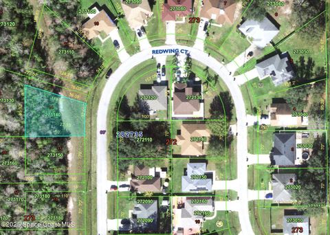 133 Redwing Court Poinciana FL 34759