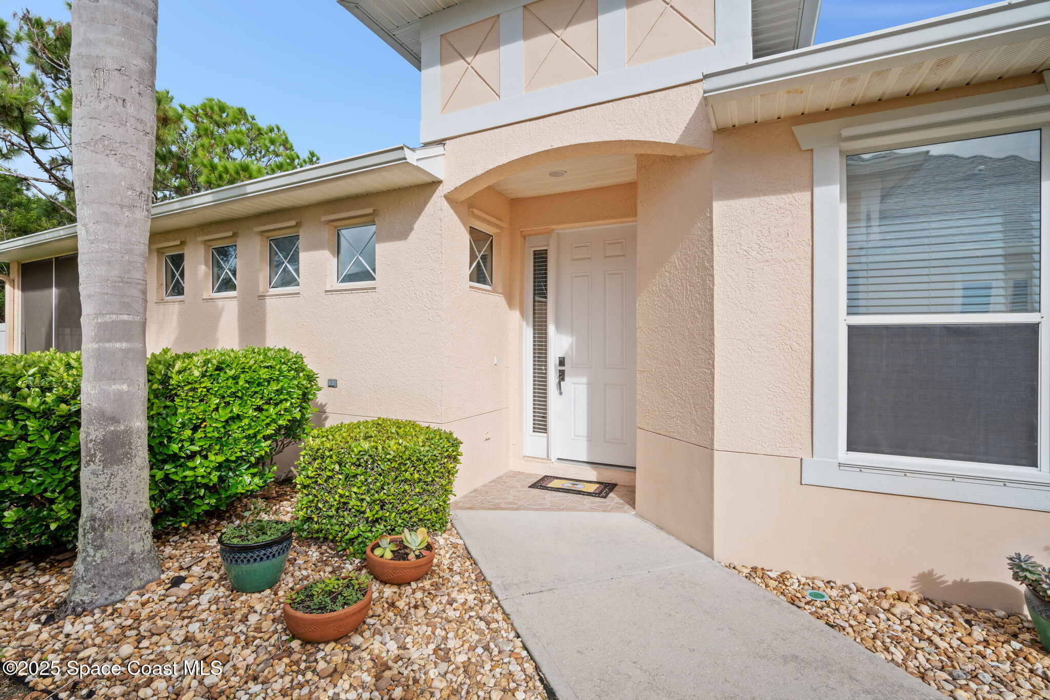 1441 Royal Fern Drive