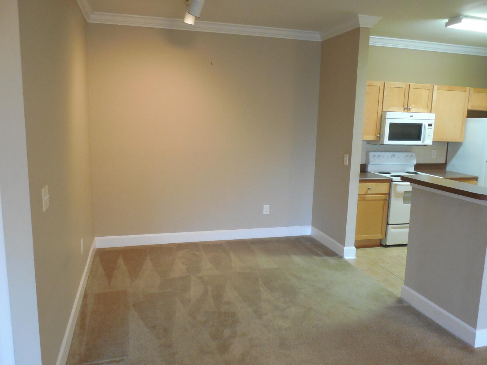 6460 Borasco Drive 2903