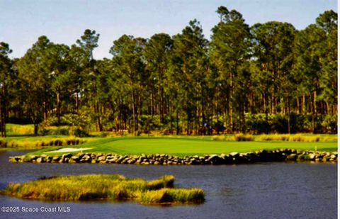 A home in Palm Bay