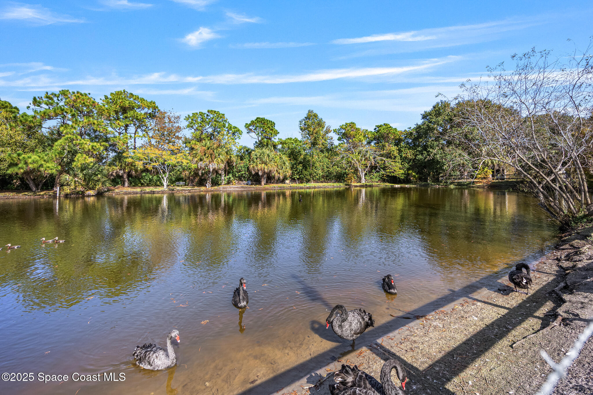 3311 Craggy Bluff Place