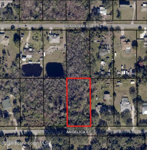 3324 Angelica Street Cocoa FL 32926
