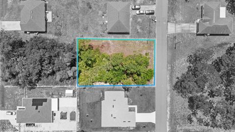 3001 Gaffney Avenue SE Palm Bay FL 32909