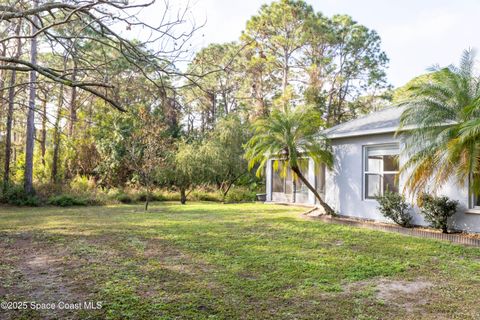 A home in Palm Bay