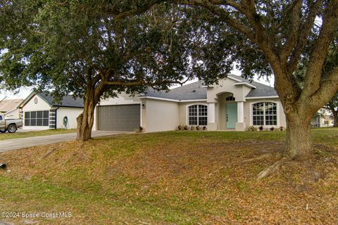 A home in Palm Bay