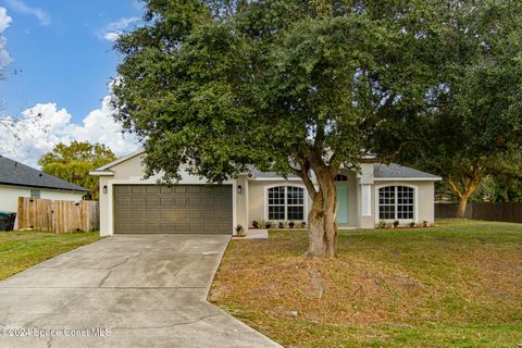 A home in Palm Bay