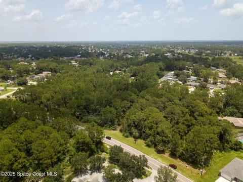 00000 Krassner Drive Palm Bay FL 32907