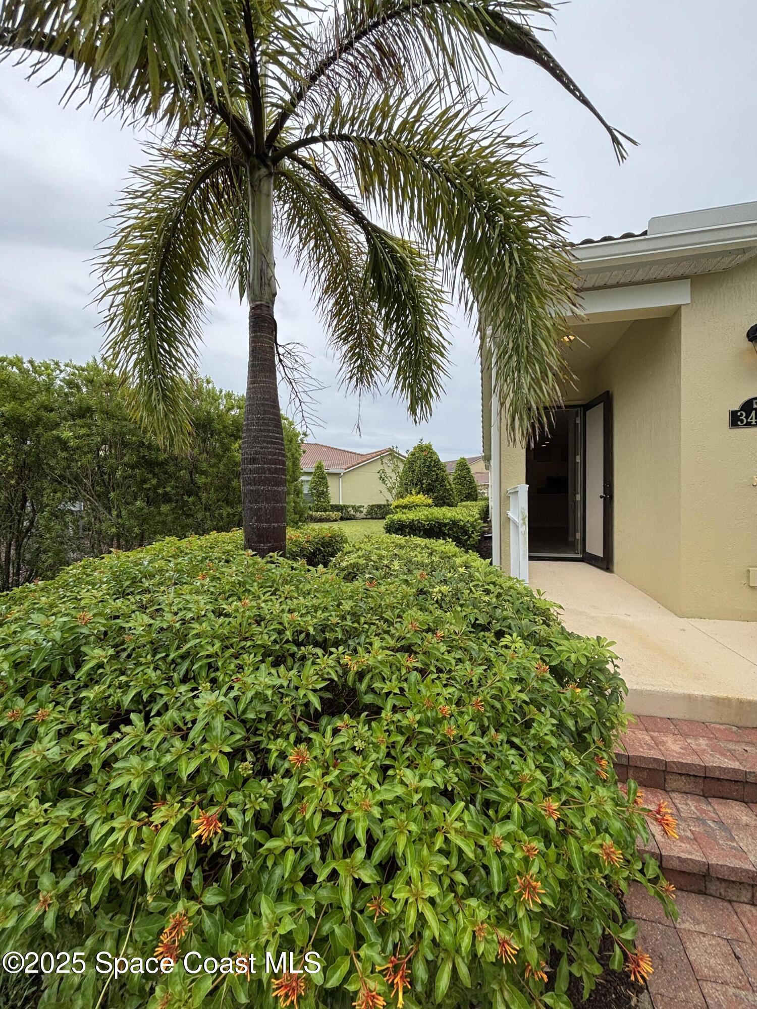 3455 Sedge Drive