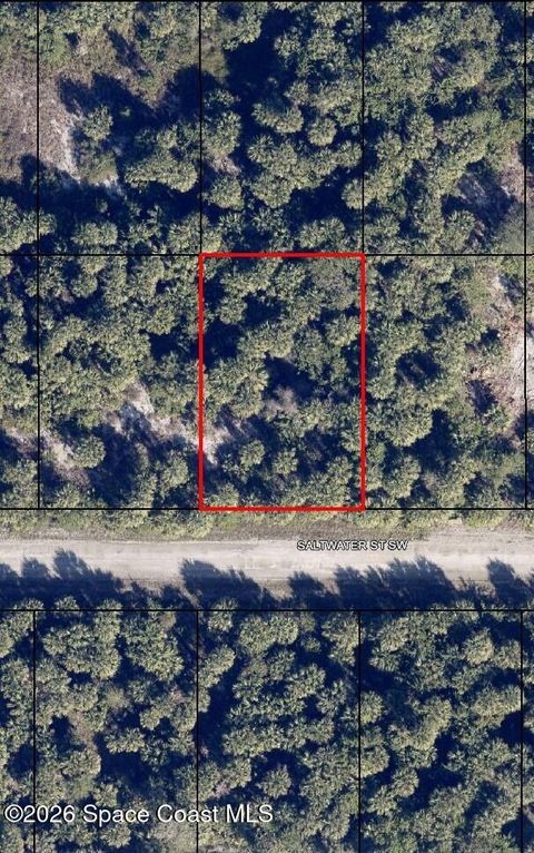 827 Saltwater Street SW Palm Bay FL 32908