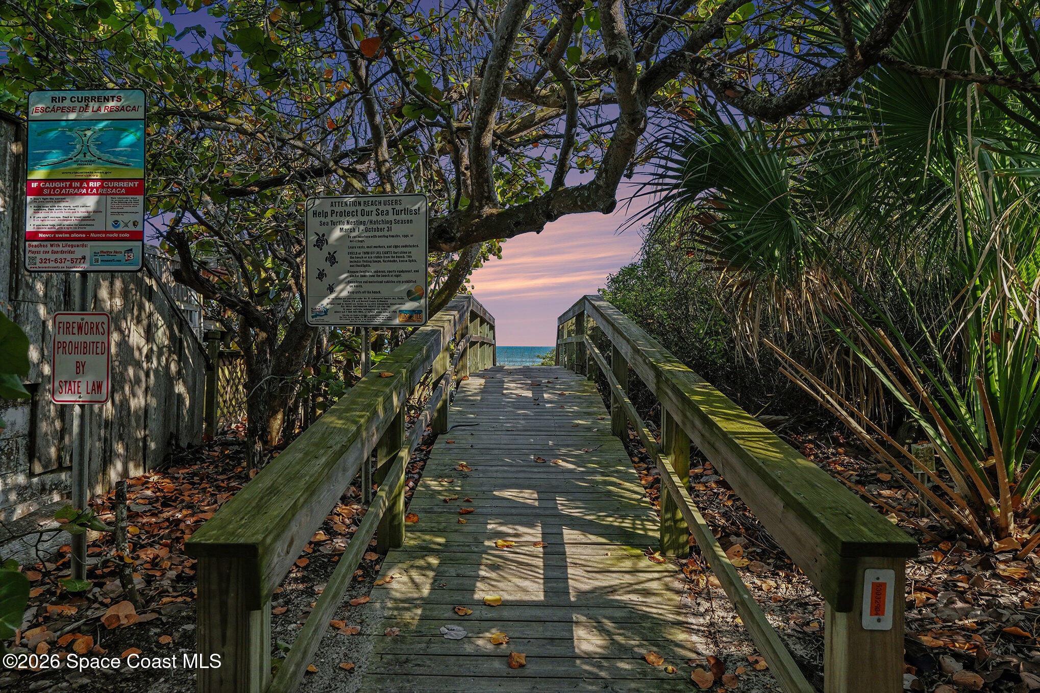 2880 S Atlantic Avenue 202