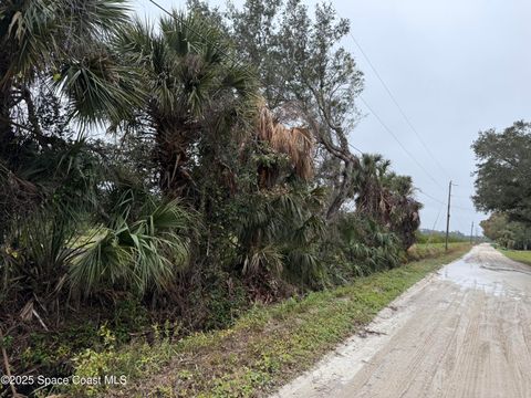 000 Mangrove Street Mims FL 32754