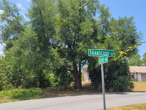 1305 Transcoro Street SE, Palm Bay, FL 32909 - #: 1013352