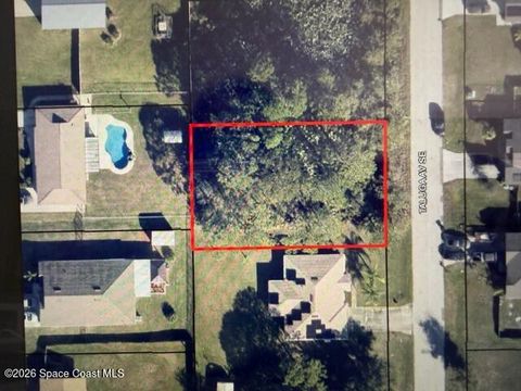 824 Taluga Avenue SE Palm Bay FL 32909