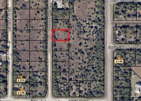3159 Papaya Avenue SW Palm Bay FL 32908