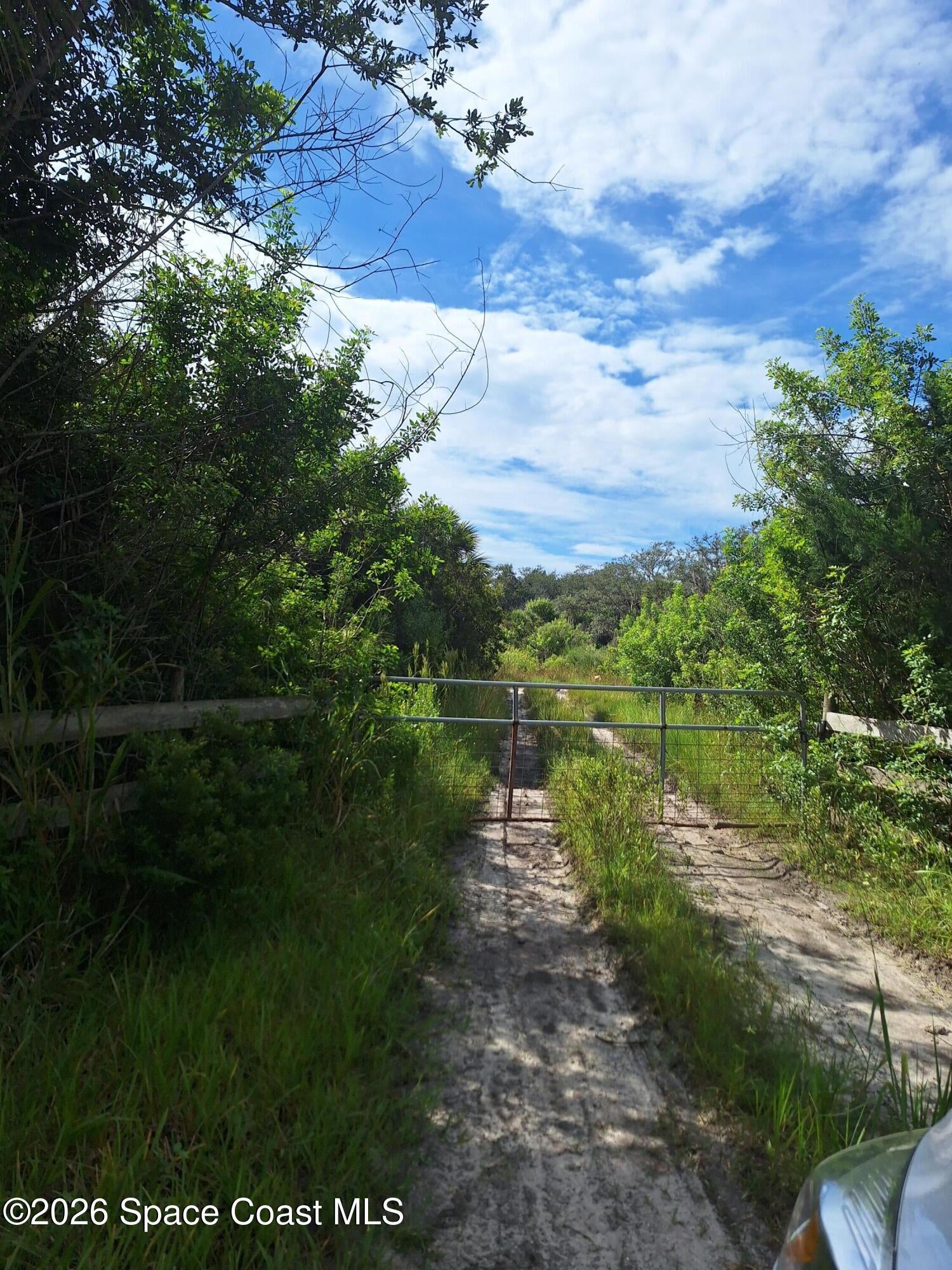 00 Davis Road