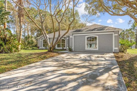 A home in Palm Bay