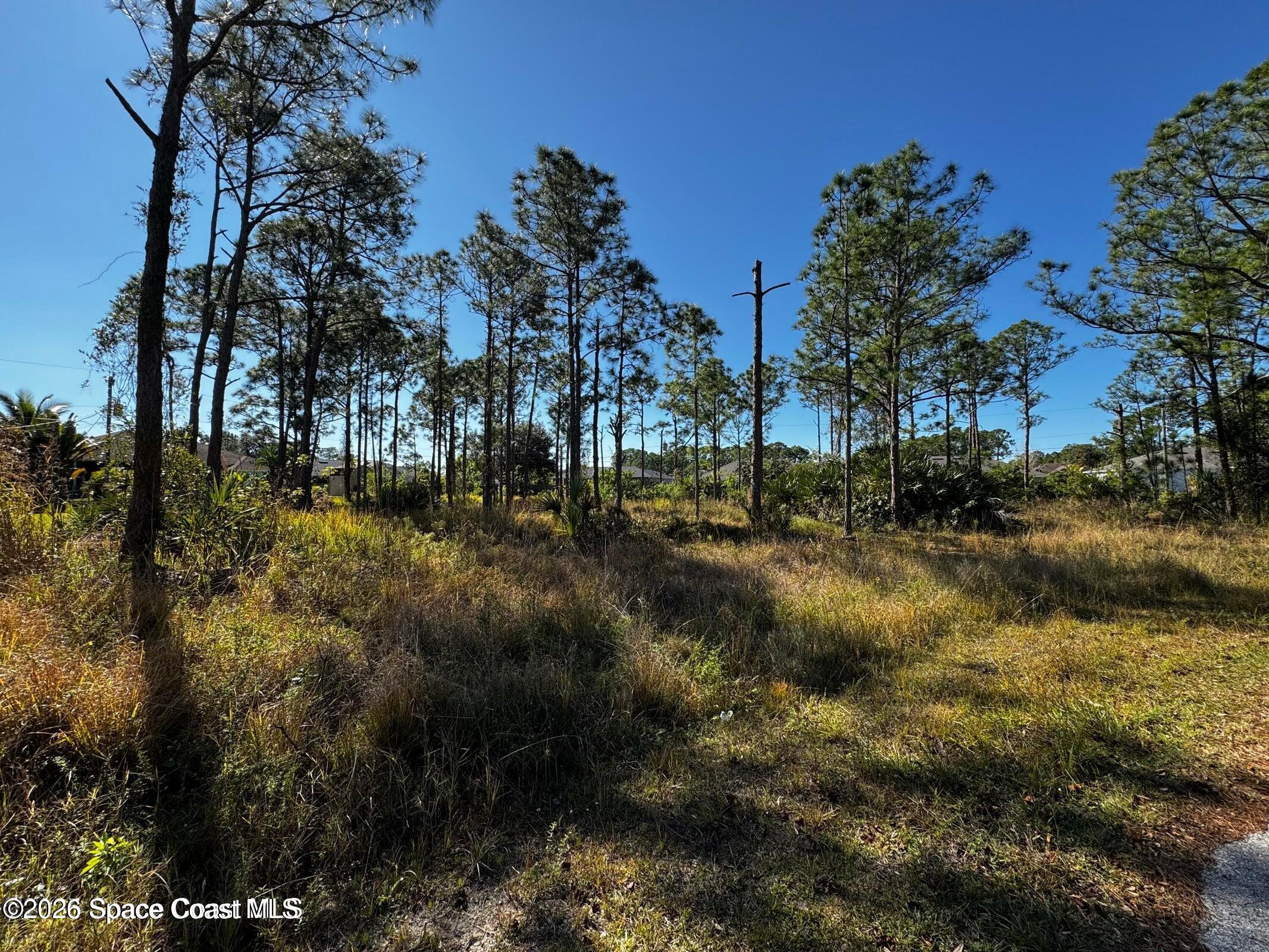 2497 Palmarita Street SE