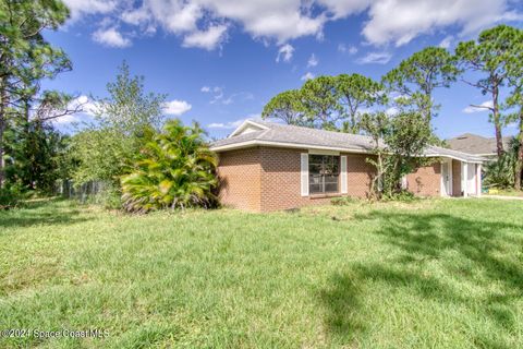 A home in Palm Bay