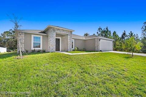 A home in Palm Bay