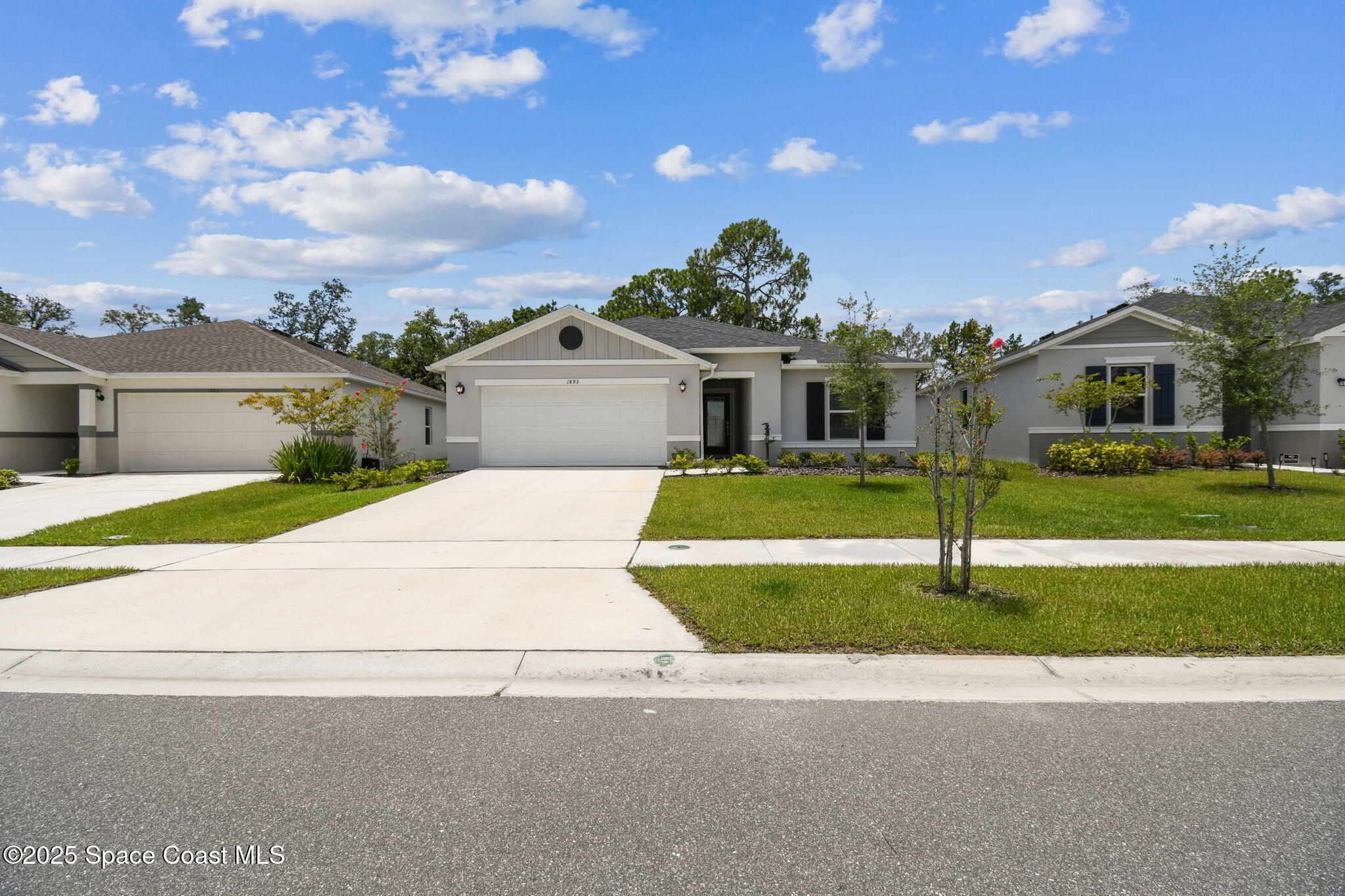 1893 Corvina Way