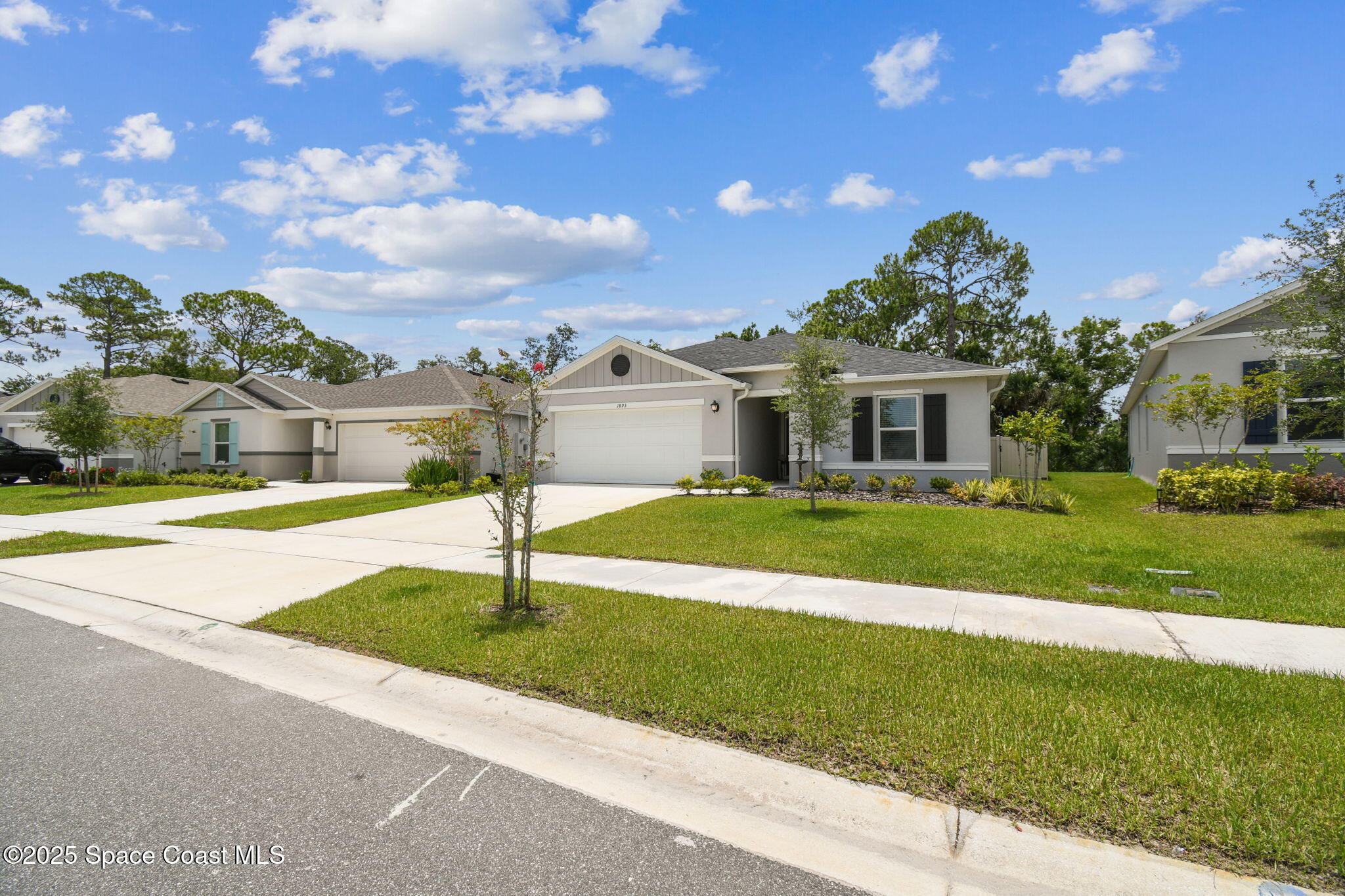 1893 Corvina Way