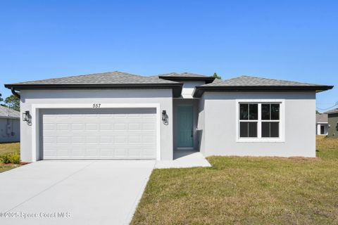 A home in Palm Bay