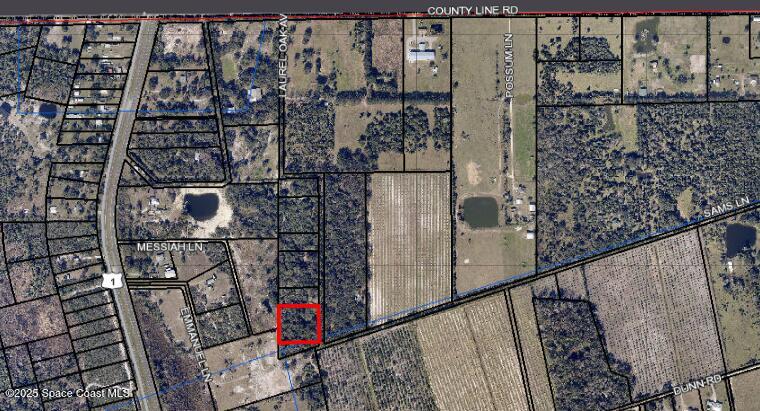 0000 Laurel Oak Avenue