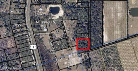 0000 Laurel Oak Avenue Mims FL 32754