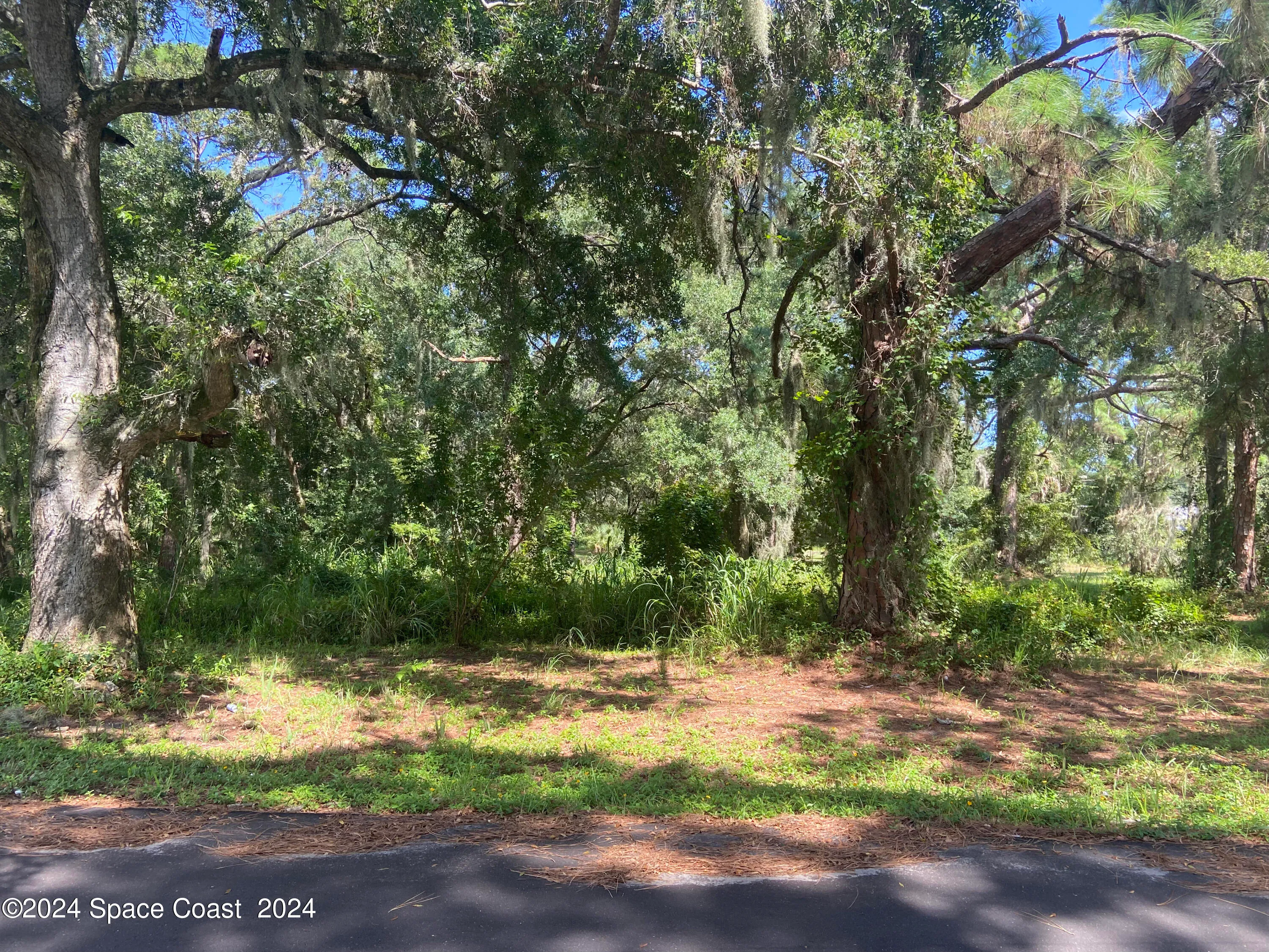 Mims, Florida 32754, United States, ,Land,Active,42606