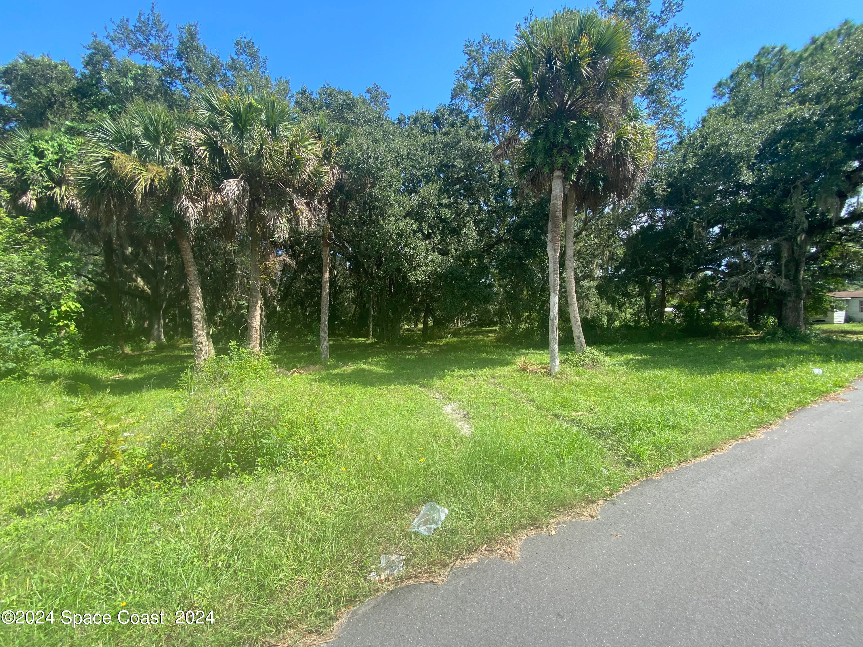 Mims, Florida 32754, United States, ,Land,Active,42606