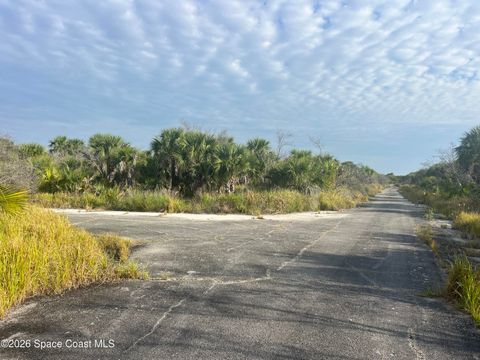 Tbd Crnr Maphisto & Montecito St Avenue SW Palm Bay FL 32908