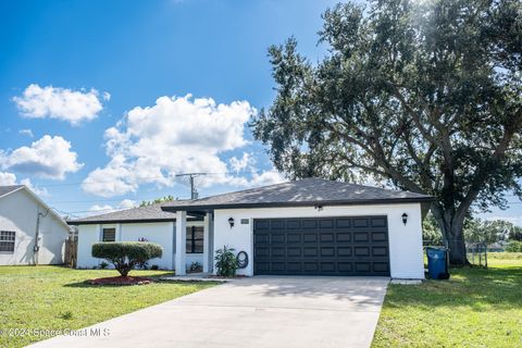 A home in Palm Bay