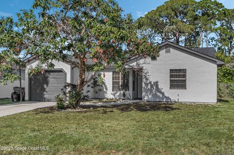 2861 Detached Circle SE Palm Bay FL 32909