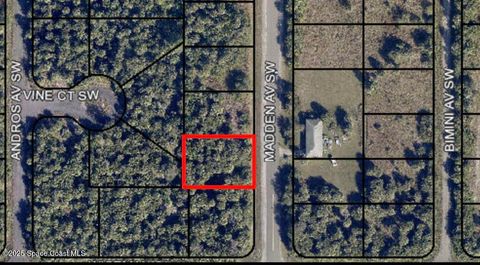 2482 Madden Avenue Palm Bay FL 32908